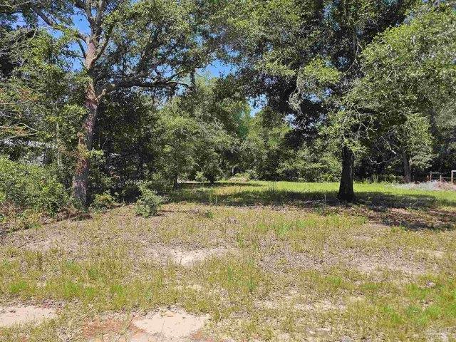 Land for sale in Milton, Florida