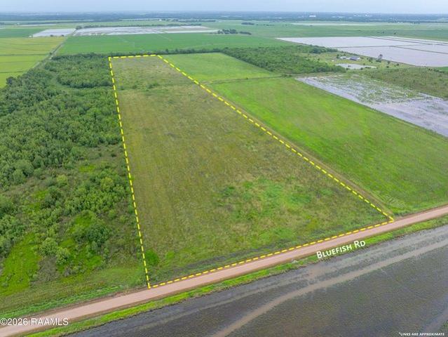 Farm for sale in Crowley, Louisiana