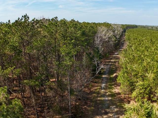 Land for sale in Cofield, North Carolina