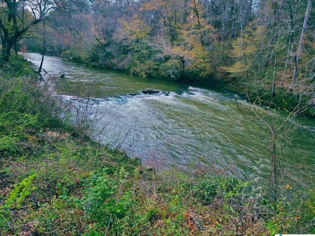 Land for sale in Jasper, Alabama
