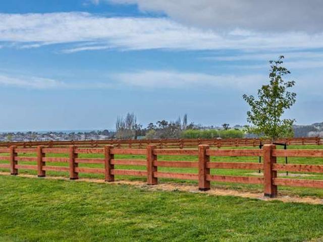 Property for sale in Timaru, Canterbury