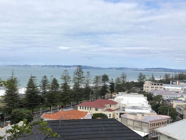 Apartment for rent in Napier Hill, Napier