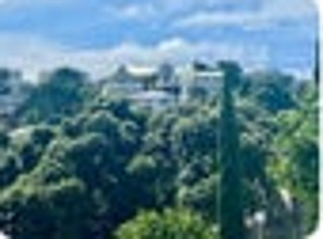 Apartment for rent in Napier Hill, Napier