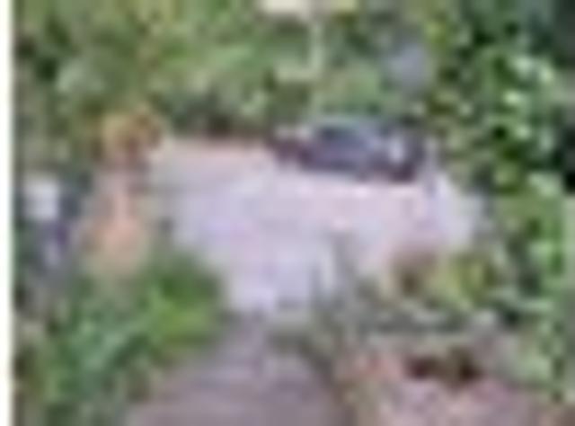 House for rent