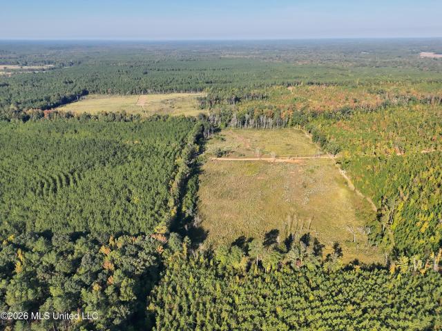 Land for sale in Ackerman, Choctaw County
