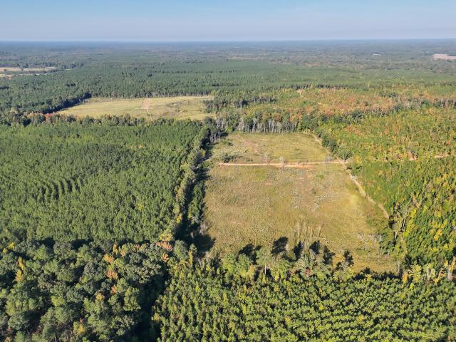 Land for sale in Eupora, Choctaw County