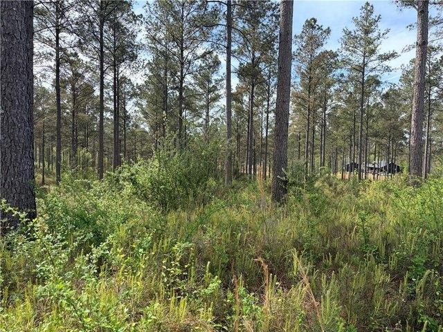 Land for sale in Cobb, Georgia