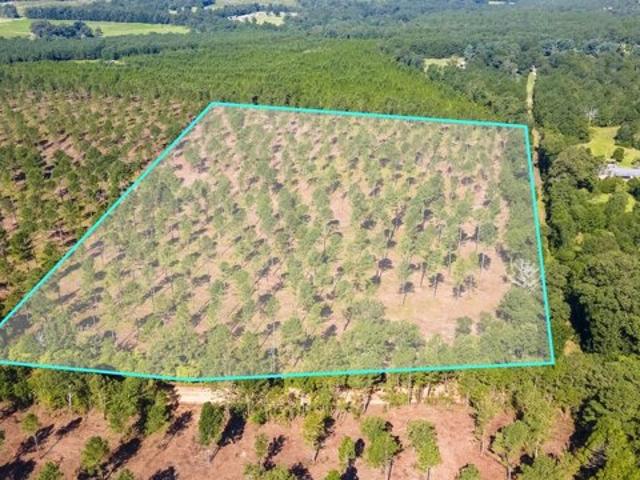 Land for sale in Wagener, South Carolina