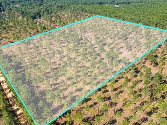 Land for sale in Wagener, South Carolina