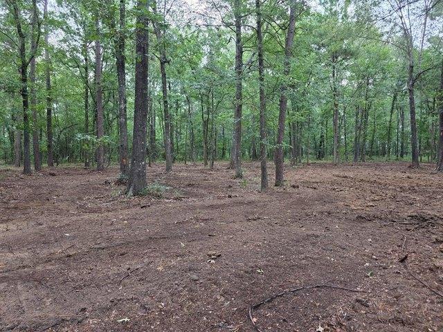 Land for sale in Alto, Texas