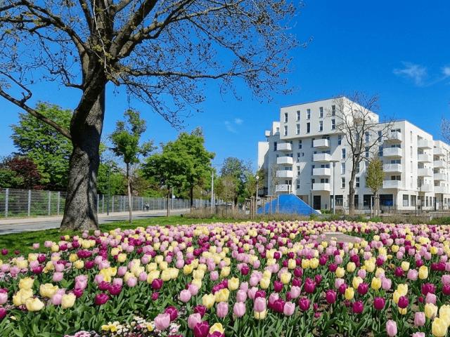 Apartment mieten in Donaustadt, Wien