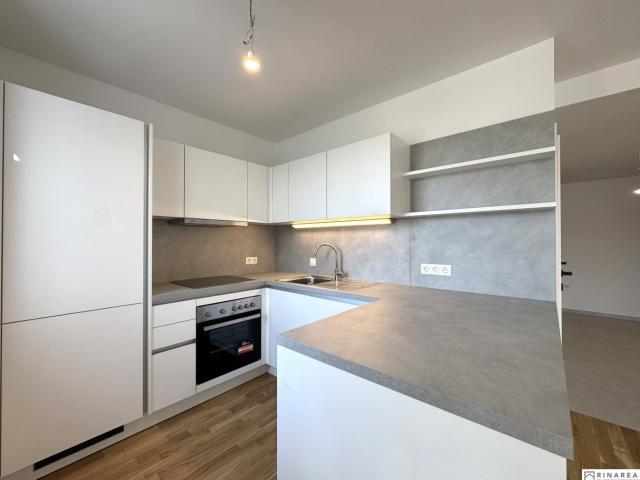 Wohnung mieten in Wiener Neustadt