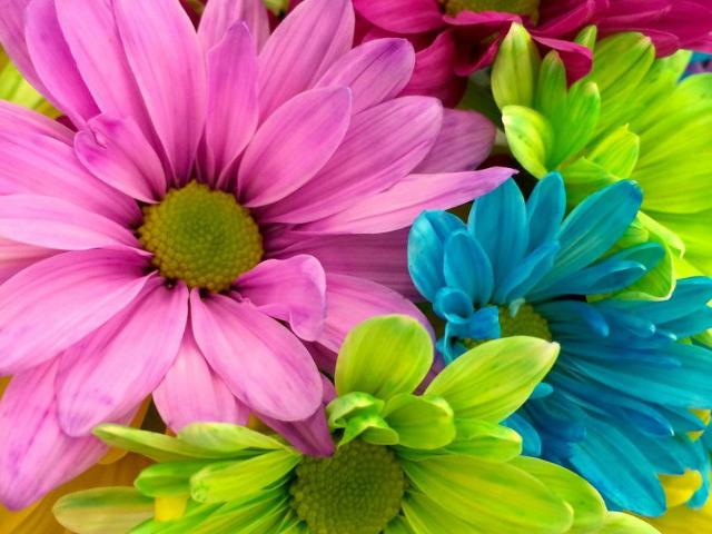 Haus mieten in Preungesheim, Sachsenhausen