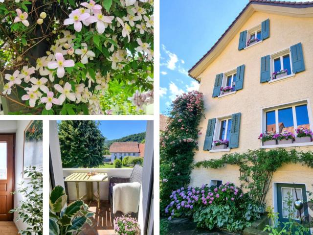 Haus kaufen in Lostorf, Solothurn