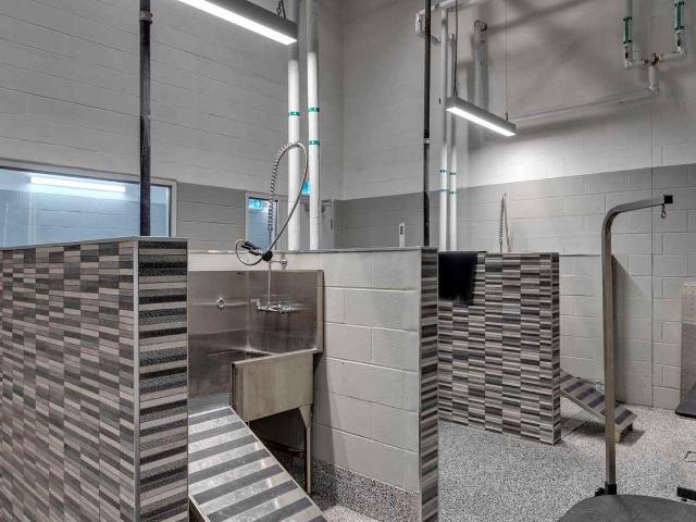 Apartment for rent in Northwest, Alberta