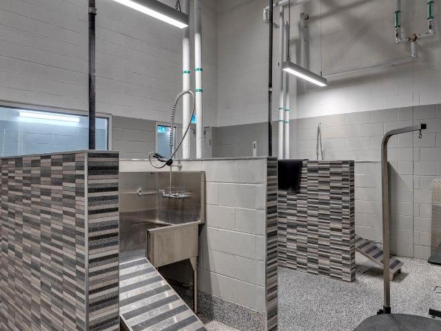 Apartment for rent in Northwest, Alberta