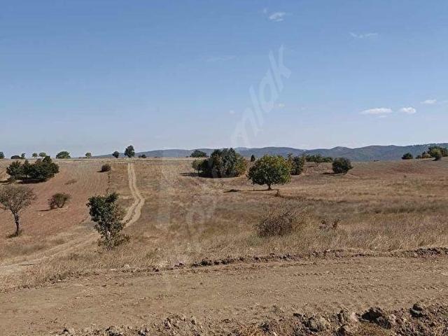Pazaryeri, Bilecik içerisinde satılık Arsa