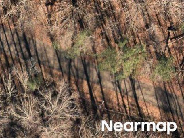 Land for sale in Columbus, Mississippi