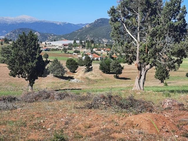 Muğla içerisinde satılık Arsa