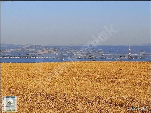 Kavaklı, Gelibolu içerisinde satılık Arsa