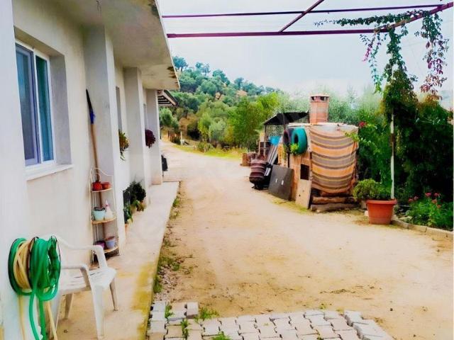 Boğaziçi, Koçarlı içerisinde satılık mülk