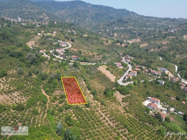 Yeşilköy, Düzce Merkez içerisinde satılık Arsa