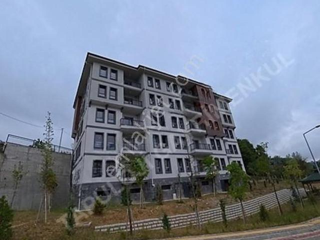 Yeşilköy, Düzce Merkez içerisinde kiralık mülk