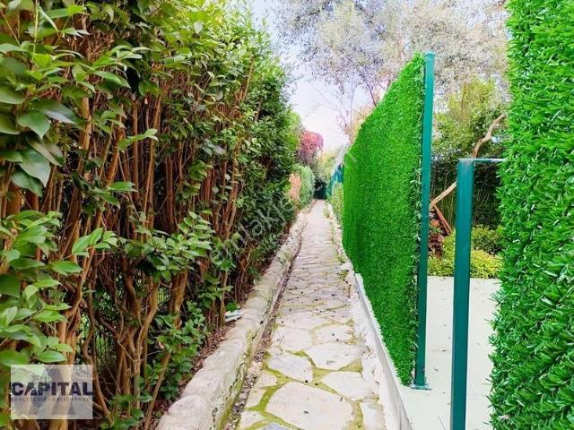 Boğazköy, Başakşehir içerisinde kiralık mülk