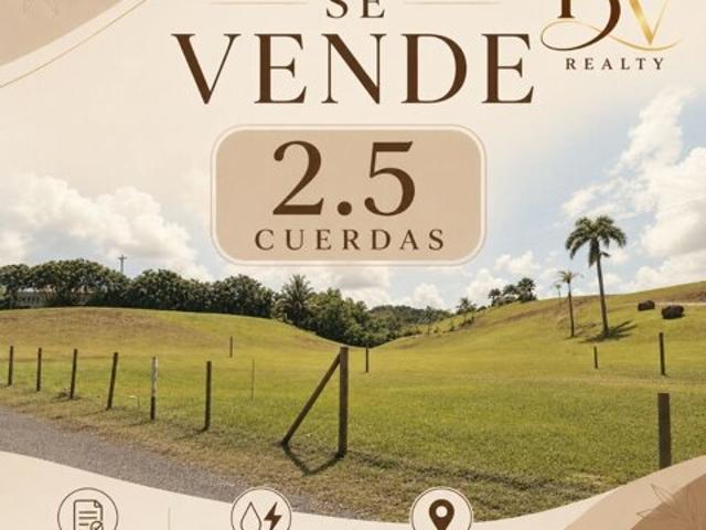 Land for sale