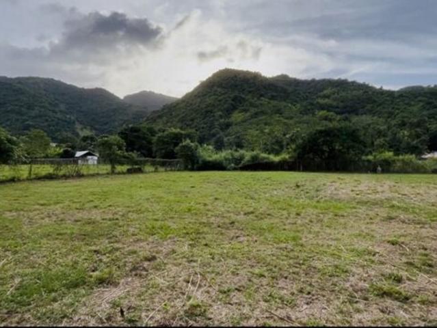 Land for sale