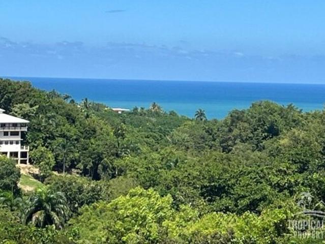 Land for sale in Rincon