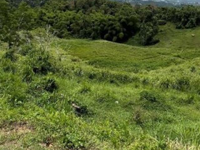 Land for sale in San Lorenzo Land for sale in San Lorenzo