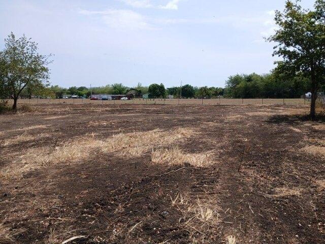 Land for sale