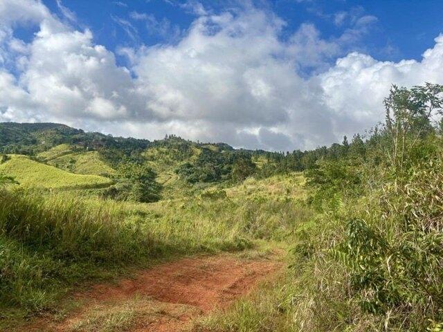 Land for sale