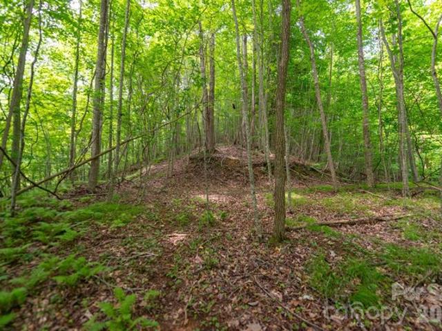 Land for sale in Marshall, North Carolina