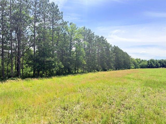 Land for sale in Ladysmith, Wisconsin