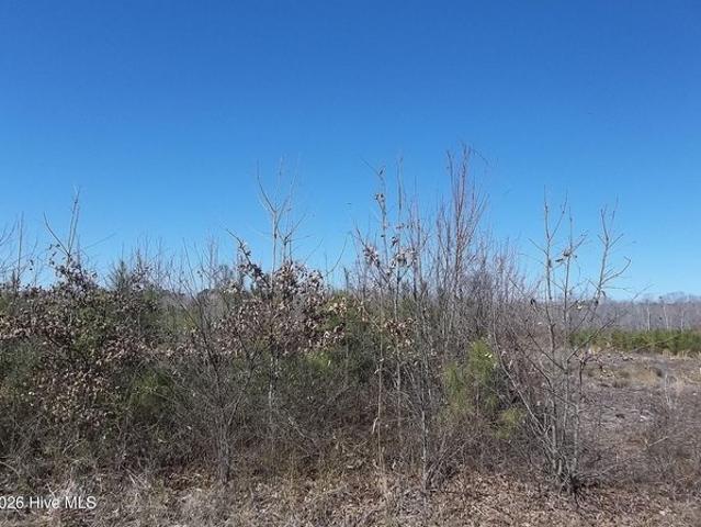 Land for sale in Wake, North Carolina