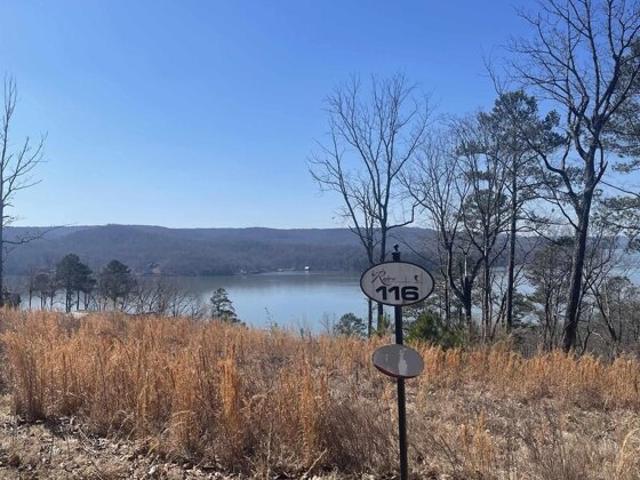 Land for sale in Guntersville