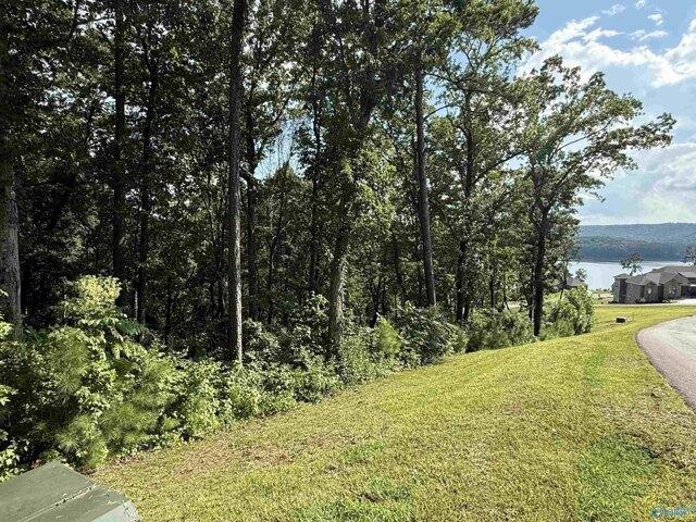 Land for sale in Guntersville