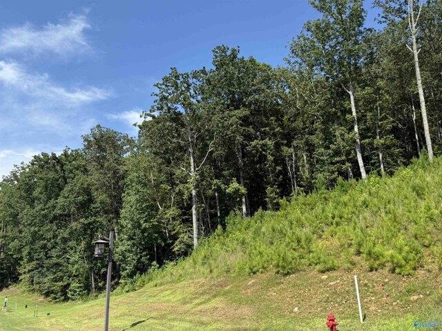 Land for sale in Guntersville Land for sale in Guntersville