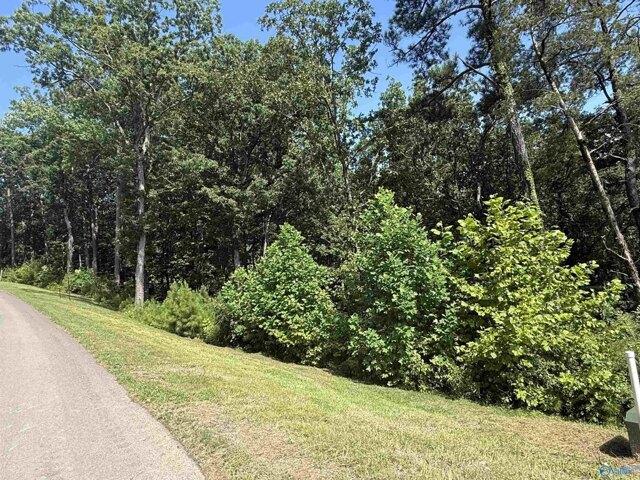 Land for sale in Guntersville