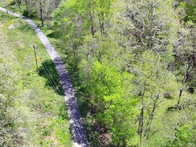 Land for sale in Spanishburg, West Virginia