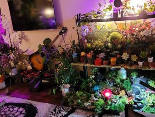 Apartment for rent in Coquitlam, British Columbia