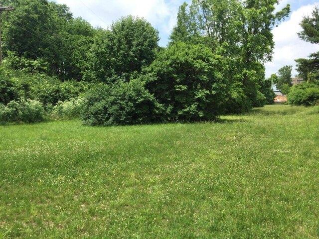 Land for sale in Lexington