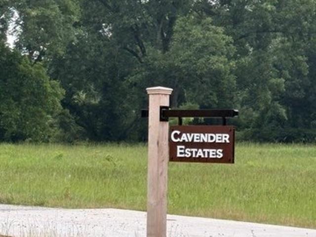 House for sale in Sharpsburg, Georgia