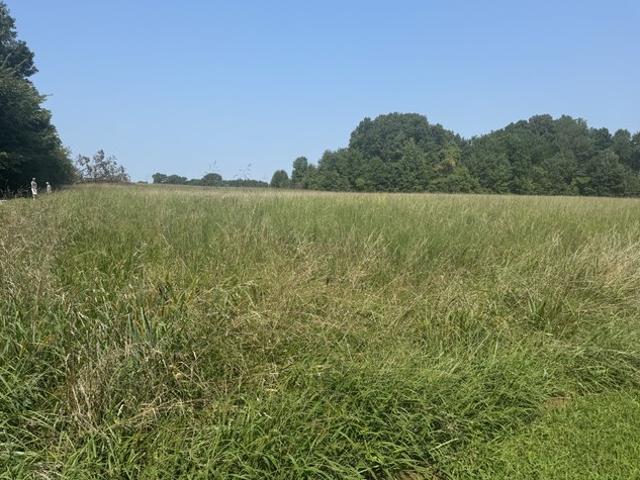 Farm for sale in Tennessee