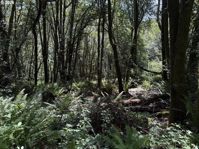 Land for sale in Oregonia