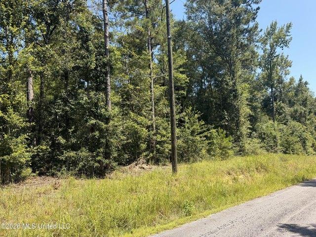 Land for sale in Lucedale, Mississippi