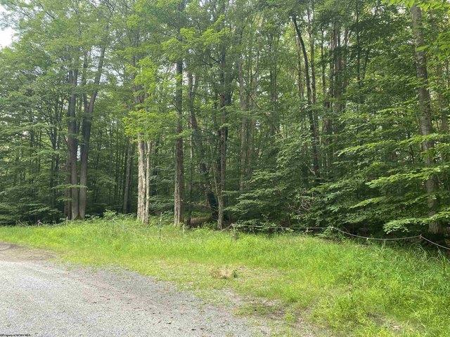 Land for sale in Davis, West Virginia