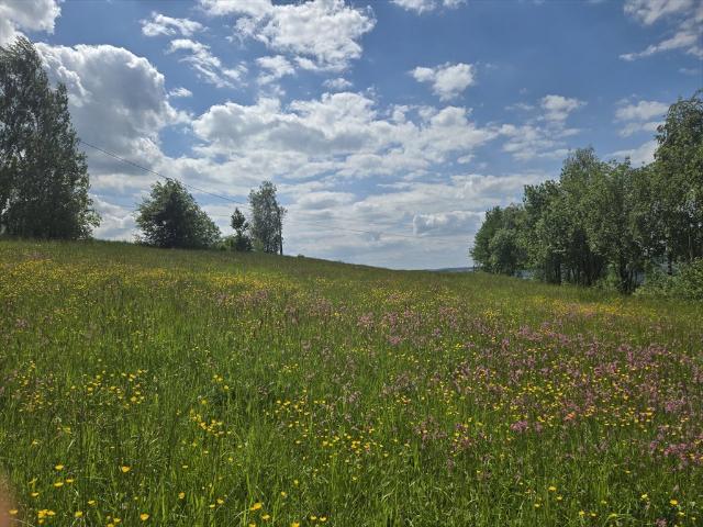Grunt na sprzedaż w Bobowa, Małopolskie